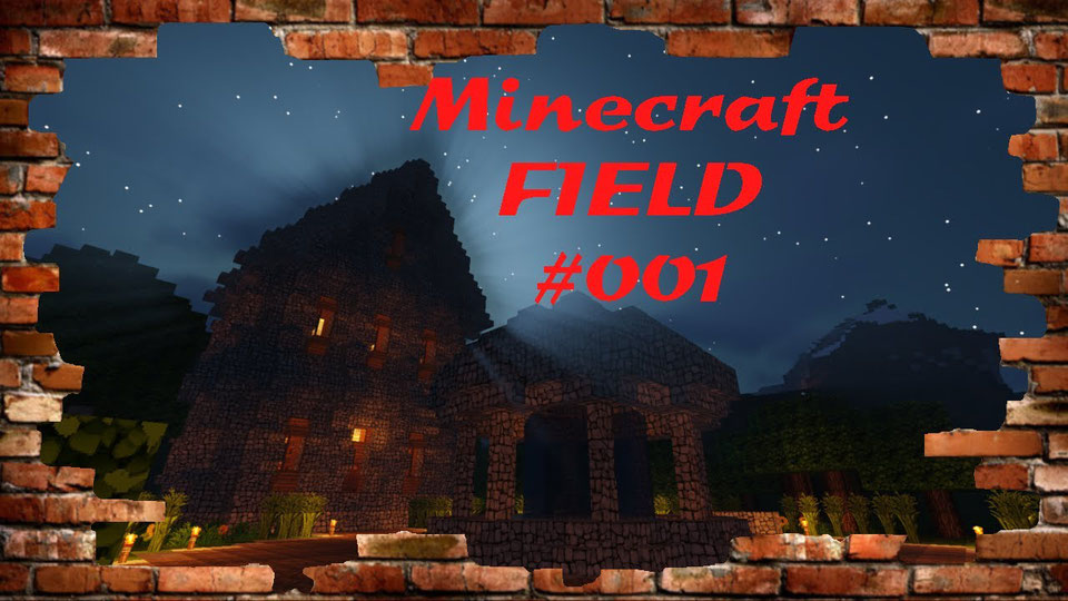 Minecraft Field
